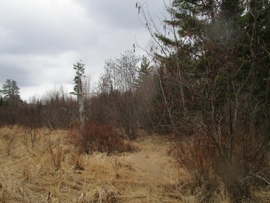 Two and a quarter acre of land with frontage on Sibley Brook - photo 9