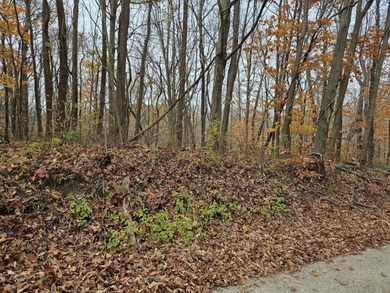 Lake Michigan - Berrien County Lot For Sale in Coloma Michigan