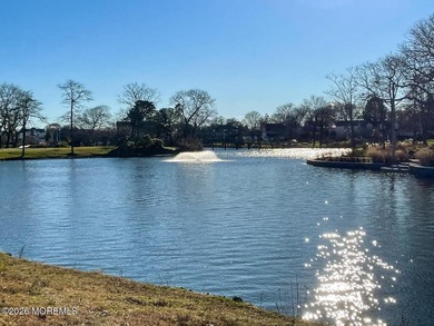 Experience the Essence of Spring Lake Living. An unrivaled - photo 36