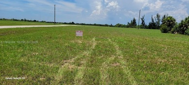 Rotunda Meadows Lakes  Lot For Sale in Port Charlotte Florida