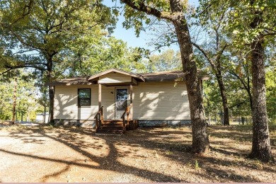 Lake Home For Sale in Malakoff, Texas