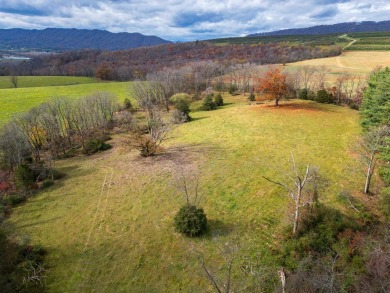 Lake Acreage For Sale in Timberville, Virginia