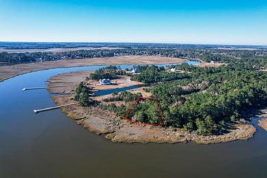 (private lake, pond, coastal) Lot For Sale in Midway Georgia