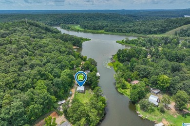 Outstanding Waterfront Cabin Retreat on Glaze Creek! Experience - photo 4