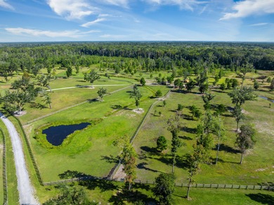 Welcome to Delemar Farm! Discover 125 acres of beauty and - photo 14