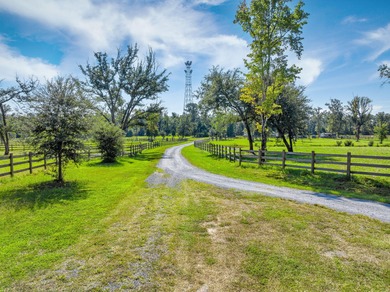 Welcome to Delemar Farm! Discover 125 acres of beauty and - photo 15