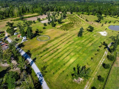 Welcome to Delemar Farm! Discover 125 acres of beauty and - photo 19