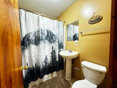 Unique commercial investment in downtown Minocqua! Schlecht's - photo 19