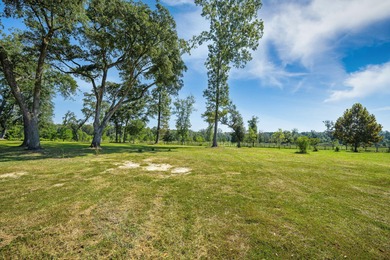 Welcome to Delemar Farm! Discover 125 acres of beauty and - photo 23