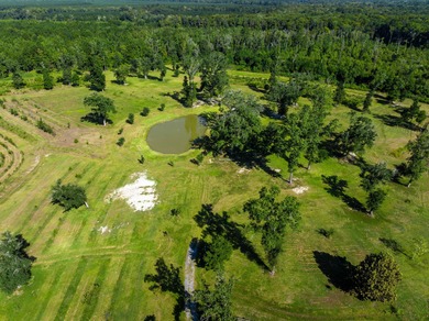 Welcome to Delemar Farm! Discover 125 acres of beauty and - photo 25