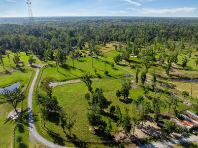 Welcome to Delemar Farm! Discover 125 acres of beauty and - photo 27