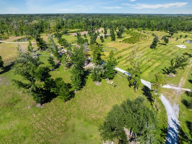 Welcome to Delemar Farm! Discover 125 acres of beauty and - photo 30
