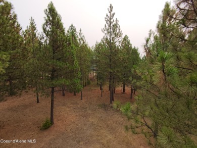 Lake Lot For Sale in Spirit Lake, Idaho