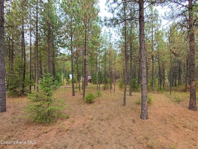 Opportunity awaits on this nearly one-acre parcel in Spirit Lake - photo 3