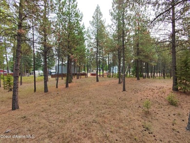 Opportunity awaits on this nearly one-acre parcel in Spirit Lake - photo 5