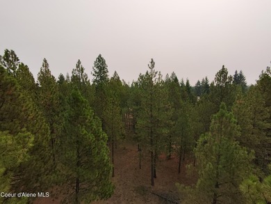 Opportunity awaits on this nearly one-acre parcel in Spirit Lake - photo 7