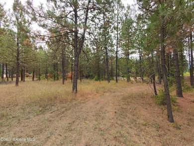 Opportunity awaits on this nearly one-acre parcel in Spirit Lake - photo 9
