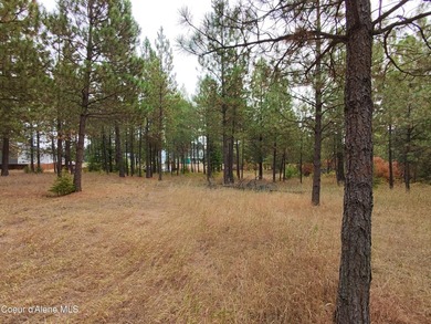 Opportunity awaits on this nearly one-acre parcel in Spirit Lake - photo 10
