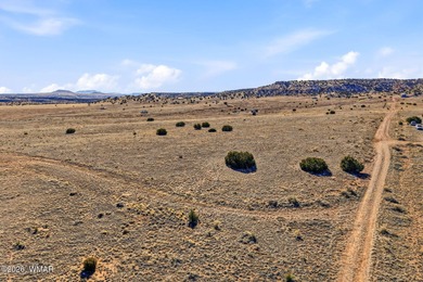 Lyman Lake Lot For Sale in Saint Johns Arizona