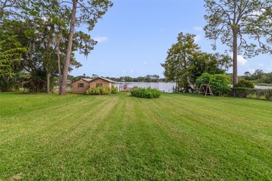 SEMINOLE COUNTY LAKE FRONT!! ****NO HOA**10 Minutes to Maitland - photo 7