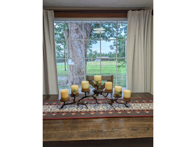 This recently renovated and tastefully updated 3 bedroom, 1 bath - photo 31