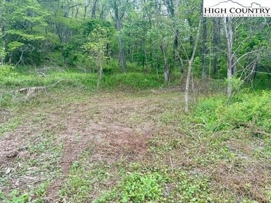 (private lake, pond, coastal) Lot For Sale in West Jefferson North Carolina