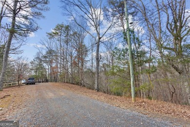 Build your mountain retreat in the desirable Coosawattee River - photo 4