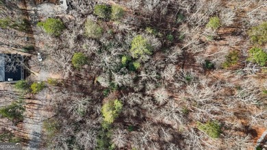 Build your mountain retreat in the desirable Coosawattee River - photo 6