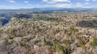 Build your mountain retreat in the desirable Coosawattee River - photo 8