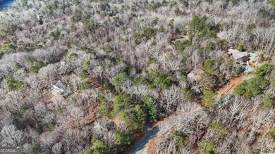 Build your mountain retreat in the desirable Coosawattee River - photo 10
