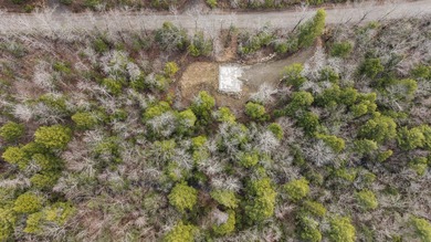 2.5-Acre Surveyed Parcel on Kimball Pond Road, Vienna, Maine - photo 13