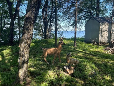 Genuinely unique MilleLacs Lake property with 250' of west - photo 20