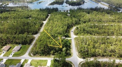 Lehigh Acres Area Lot For Sale in Lehigh Acres Florida