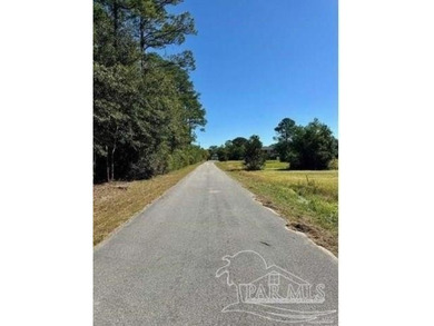 Blackwater River Lot For Sale in Milton Florida
