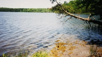 Wildwood Lake - Iron County Acreage For Sale in Bates Michigan
