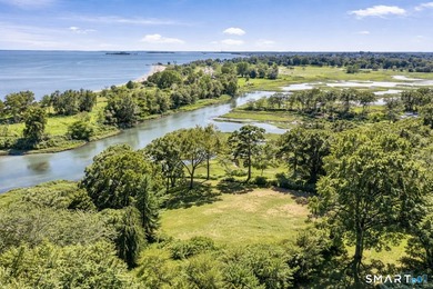 Direct Waterfront | Greens Farms An extraordinary new waterfront - photo 3