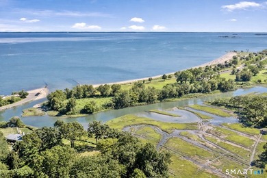 Direct Waterfront | Greens Farms An extraordinary new waterfront - photo 4