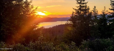 Lake Home For Sale in Harrison, Idaho