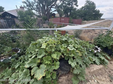 200-Acre Multi-Income Investment Property - Gravel, Agriculture