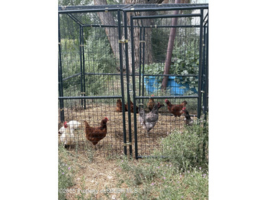 200-Acre Multi-Income Investment Property - Gravel, Agriculture