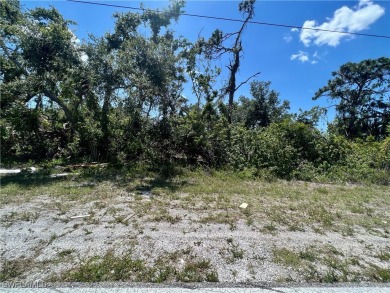 Port Charlotte Waterway Lakes Area Lot For Sale in Port Charlotte Florida
