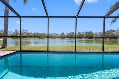 Lake Home For Sale in Tampa, Florida