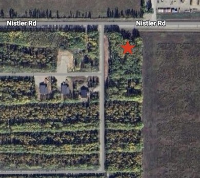 Salcha River Lot For Sale in Delta Junction Alaska