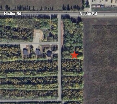 Salcha River Lot For Sale in Delta Junction Alaska
