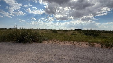 Lake Amistad Lot For Sale in Gardendale Texas