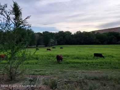 200-Acre Multi-Income Investment Property - Gravel, Agriculture