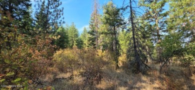 Spokane River Acreage For Sale in Coeur d Alene Idaho