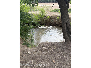 200-Acre Multi-Income Investment Property - Gravel, Agriculture