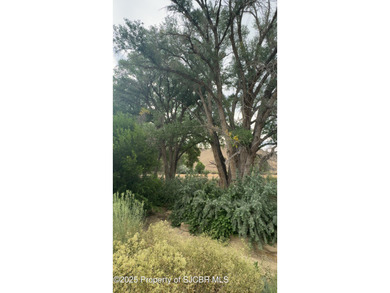 200-Acre Multi-Income Investment Property - Gravel, Agriculture