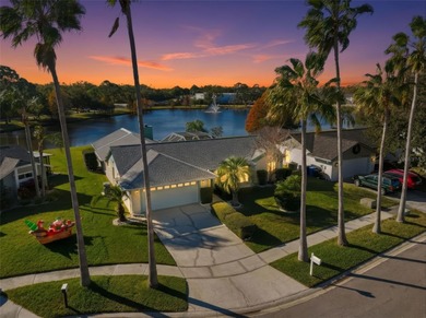 (private lake, pond, coastal) Home Sale Pending in Tampa Florida